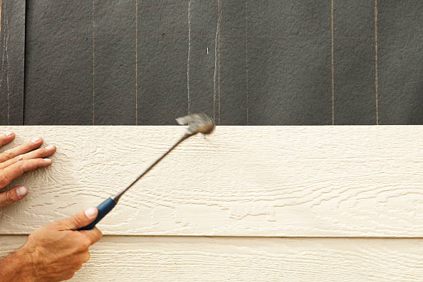 Best Storm Damage Siding Repair  in Charleston, WV